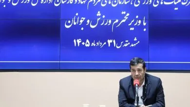 وزیر ورزش و جوانان: ورزشکاران ۴ هزار و ۷۴۳ مدال در دولت وفاق کسب کردند وزیر ورزش و جوانان: ورزشکاران ۴ هزار و ۷۴۳ مدال در دولت وفاق کسب کردند