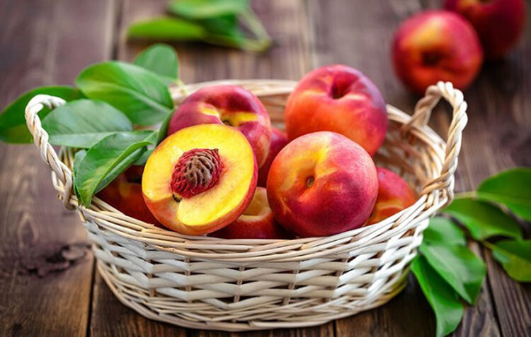 با این میوه تابستانی به جنگ بیماری‌ها بروید