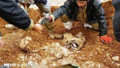 کشف پیکر مطهر یک شهید در طلاییه