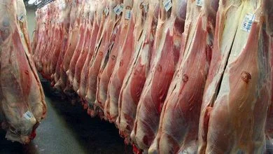قیمت هر کیلو گوشت وارداتی اعلام شد