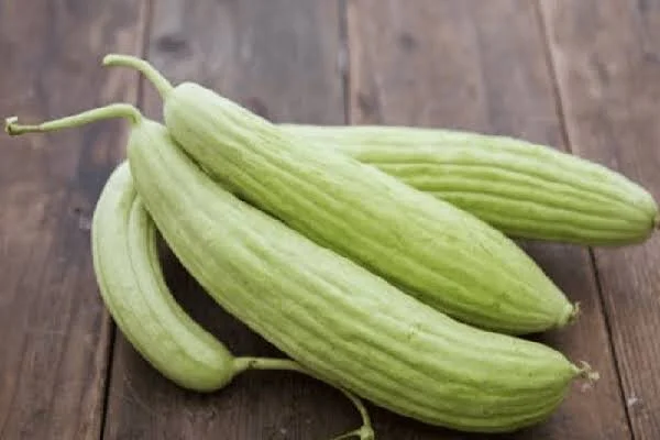 خورش خیار چنبر با گوشت قلقلی؛ طعم متفاوتی که عاشقش می‌شوید