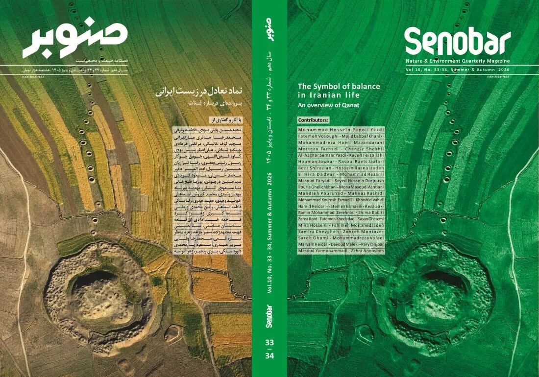 قنات ها، منظومه زنده از آب، فرهنگ و زندگی
