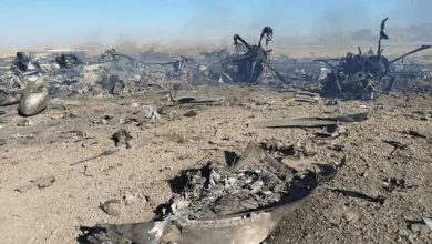 جنگنده F ۱۵ آمریکا را با فرغون جمع‌آوری کردند | واکنش مقام عالی رتبه سپاه