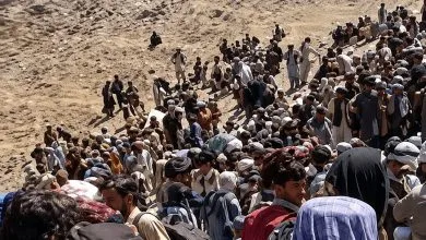 نخستین واکنش مسئولان به فیلم جنجالی هجوم اتباع به ایران + فیلم نخستین واکنش مسئولان به فیلم جنجالی هجوم اتباع به ایران + فیلم