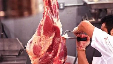 قصابی‌های غیرمجاز جوانرود به سمت کشتارگاه هدایت می‌شوند