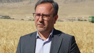 فعالیت ۱۹۷ داروخانه گیاه‌پزشکی در لرستان