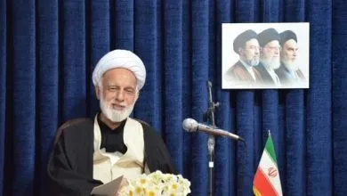 آیت الله دری: امنیت منطقه در گرو همکاری و اتحاد کشورهای اسلامی است