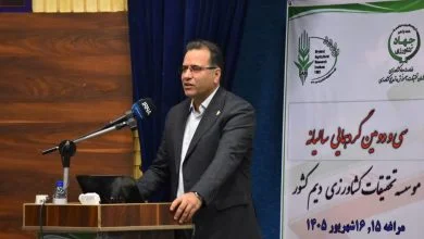 کشاورزی دیم؛ ضرورت راهبردی برای افزایش تولید و امنیت غذایی کشور