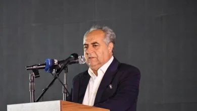 سرمست: زنجیره ارزش انگور ملکان باید تکمیل و صادرات آن تقویت شود