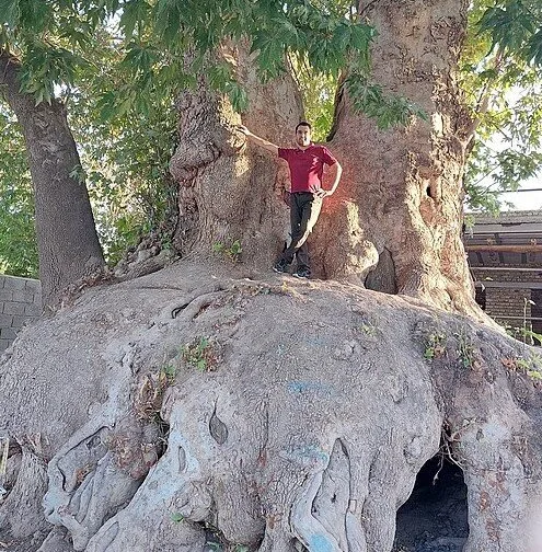 تهران فناوری