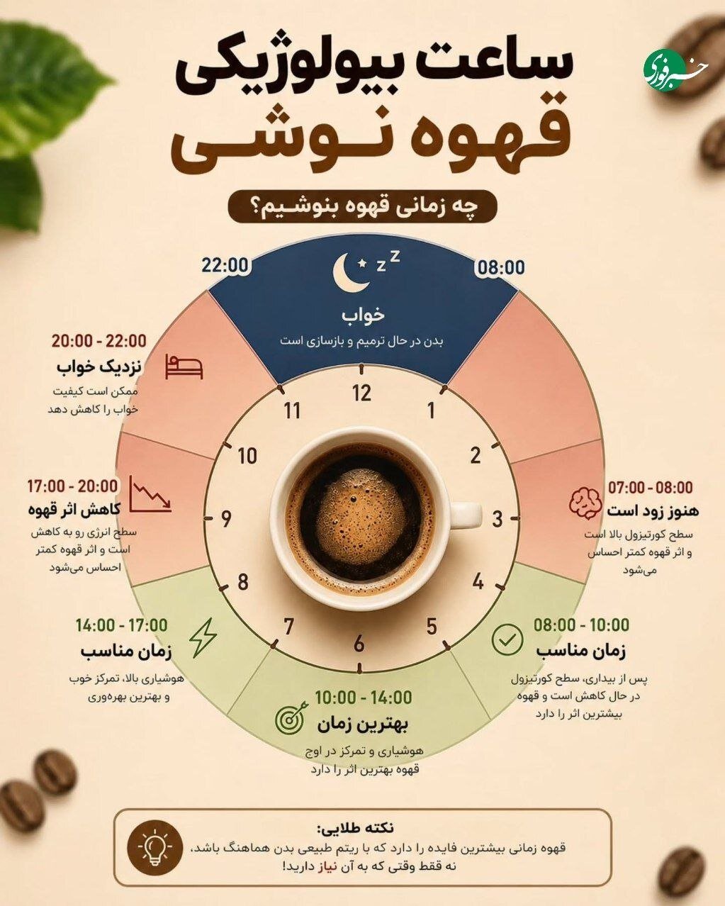 بهترین زمان نوشیدن قهوه طبق ساعت بیولوژیک بدن | چه ساعاتی قهوه نخوریم؟ بهترین زمان نوشیدن قهوه طبق ساعت بیولوژیک بدن | چه ساعاتی قهوه نخوریم؟