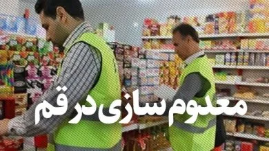 هزار و ۷۰۰ کیلوگرم مرغ غیربهداشتی در قم معدوم شد هزار و ۷۰۰ کیلوگرم مرغ غیربهداشتی در قم معدوم شد