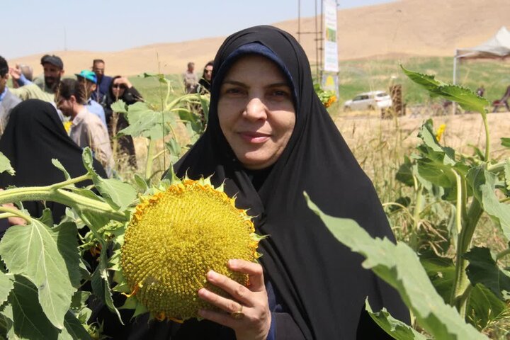 گنجینه سبز زاگرس؛ از حصار باغ تا میراث ملی گنجینه سبز زاگرس؛ از حصار باغ تا میراث ملی