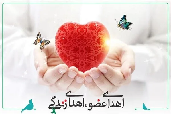 اهدای عضو مادر ۳۷ ساله فسایی جان چهار بیمار را نجات داد اهدای عضو مادر ۳۷ ساله فسایی جان چهار بیمار را نجات داد