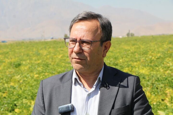 گنجینه سبز زاگرس؛ از حصار باغ تا میراث ملی گنجینه سبز زاگرس؛ از حصار باغ تا میراث ملی