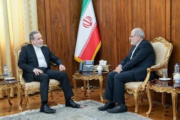تاکید عراقچی بر بهرهگیری از ظرفیتهای دیپلماسی تاکید عراقچی بر بهرهگیری از ظرفیتهای دیپلماسی