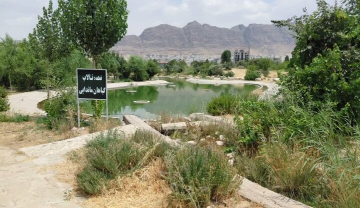 گنجینه سبز زاگرس؛ از حصار باغ تا میراث ملی